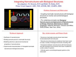 Integrating Nanostructures with Biological Structures