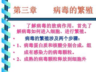 了解病毒的致病作用，首先了解病毒如何进入细胞、进行繁殖。 病毒的繁殖涉及两个步骤： 1 、病毒蛋白质和核酸分别合成，组 成有感染力的病毒颗粒。 2 、成熟的病毒颗粒释放到细胞外