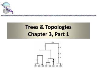 Trees &amp; Topologies Chapter 3, Part 1