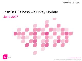 Irish in Business – Survey Update