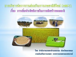 การบริหารจัดการงานส่งเสริมการเกษตรมิติใหม่ ( MRCF)