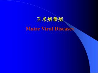 玉米病毒病 Maize Viral Diseases