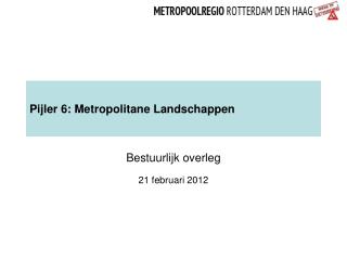 Pijler 6: Metropolitane Landschappen
