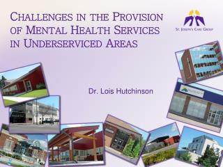 Challenges in the Provision of Mental Health Services in Underserviced Areas