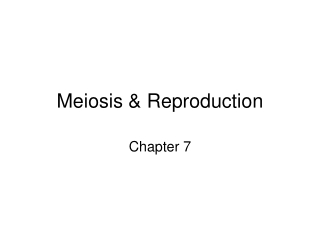 Meiosis & Reproduction