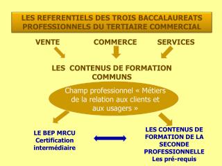 LES REFERENTIELS DES TROIS BACCALAUREATS PROFESSIONNELS DU TERTIAIRE COMMERCIAL