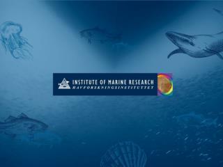 Marine thematic presentation sub-project: Relevant information elements