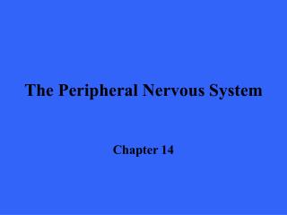 The Peripheral Nervous System