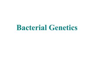 Bacterial Genetics