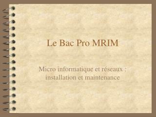 Le Bac Pro MRIM