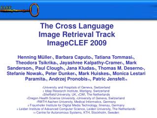 The Cross Language Image Retrieval Track ImageCLEF 2009