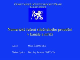 Numerické řešení stlačitelného proudění v kanále a mříži