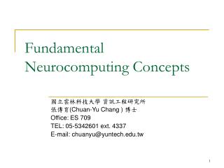 Fundamental Neurocomputing Concepts