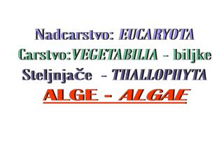 Nadcarstvo: EUCARYOTA Carstvo: VEGETABILIA - biljke Steljnjače - THALLOPHYTA ALGE - ALGAE