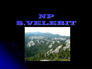 NP S.VELEBIT