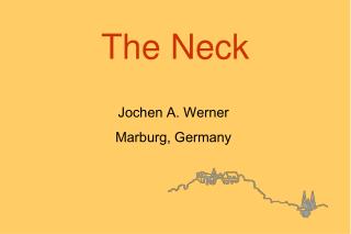 The Neck