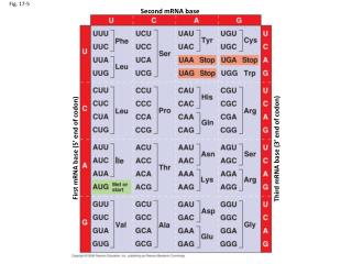 Fig. 17-5