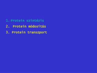 Protein szintézis Protein m ó dosít ás 3. Protein transzport
