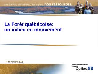 La Forêt québécoise: un milieu en mouvement