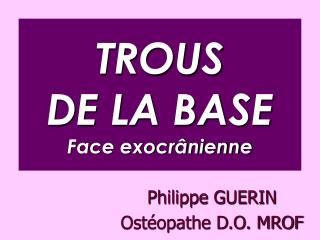 TROUS DE LA BASE Face exocrânienne