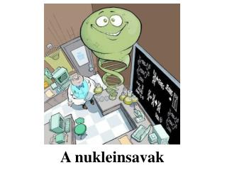 A nukleinsavak