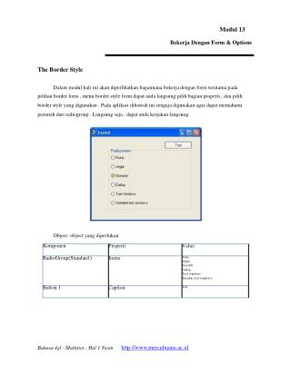 Modul 13 Bekerja Dengan Form &amp; Options The Border Style