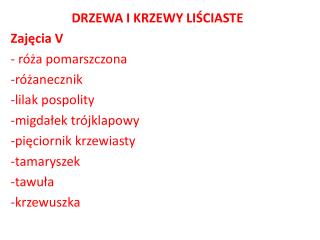 DRZEWA I KRZEWY LIŚCIASTE Zajęcia V róża pomarszczona r óżanecznik l ilak pospolity