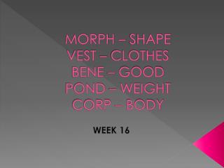 MORPH – SHAPE VEST – CLOTHES BENE – GOOD POND – WEIGHT CORP – BODY