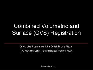 Combined Volumetric and Surface (CVS) Registration