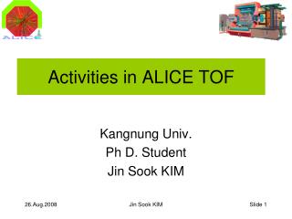 Activities in ALICE TOF