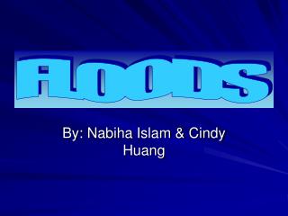 By: Nabiha Islam &amp; Cindy Huang