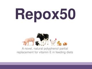 Repox50