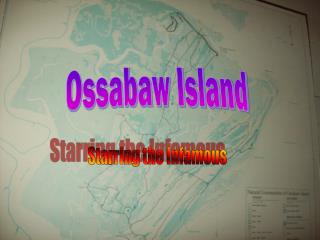 Ossabaw Island