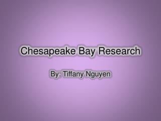 Chesapeake Bay Research