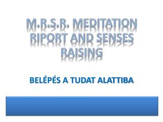 M.R.S.R. MEDITATION RIPORT AND SENSES RAISING