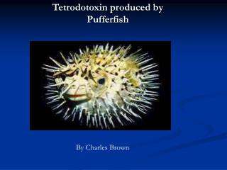 Tetrodotoxin produced by Pufferfish