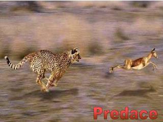 Predace