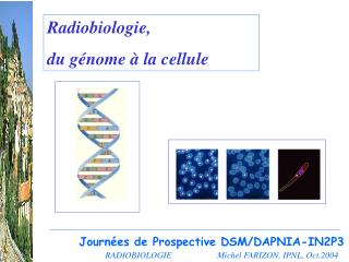 RADIOBIOLOGIE Michel FARIZON, IPNL, Oct.2004