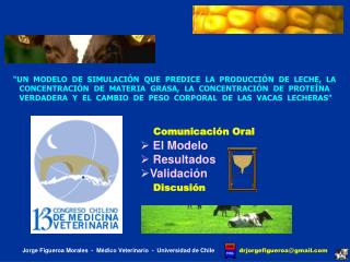 PRESENTACIÓN