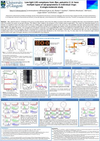 Cryostat ~1.4K Excitation Intensity ~50 W cm -2 Max. Scan speed: 0.3 nm s -1 (~50cm -1 s -1 )