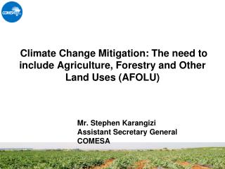 Climate Change Mitigation: The need to include Agriculture, Forestry and Other Land Uses (AFOLU)