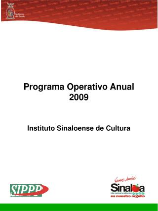 Programa Operativo Anual 2009