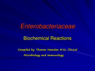 Enterobacteriaceae