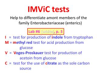 IMViC tests