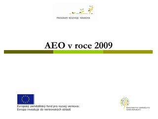 AEO v roce 2009