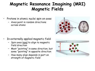 Magnetic Resonance Imagining (MRI) Magnetic Fields