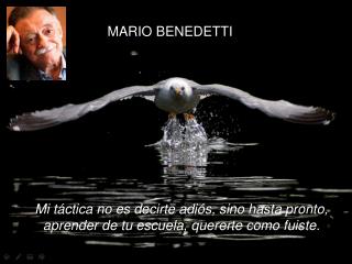 Mi táctica no es decirte adiós, sino hasta pronto, aprender de tu escuela, quererte como fuiste.