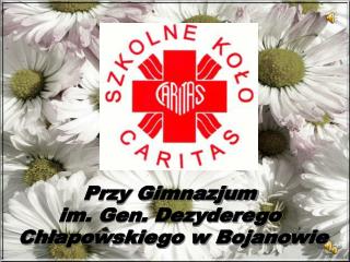 Przy Gimnazjum  im. Gen. Dezyderego  Chłapowskiego w Bojanowie