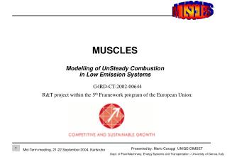 MUSCLES Modelling of UnSteady Combustion in Low Emission Systems