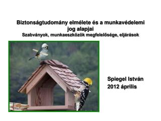 Spiegel István 2012 április